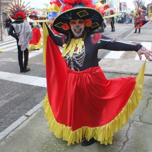 carnavales 2025 (165)